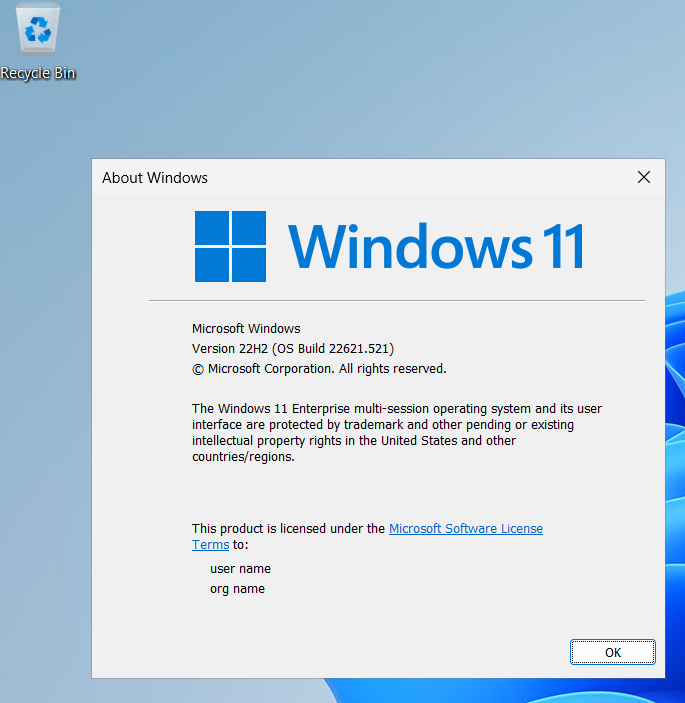 winver command output